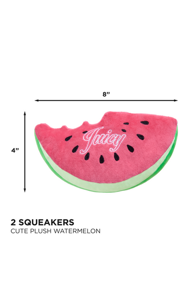 PET WATERMELON SQUEAKY TOY