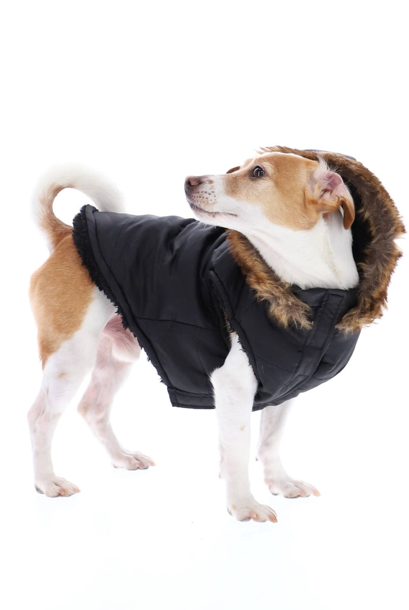 Dog gone smart hot sale tamarack coat