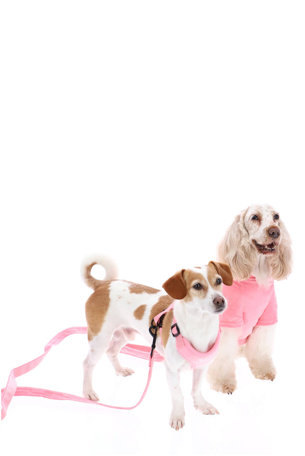 PET PINK VELOUR HARNESS & LEASH -SMALL