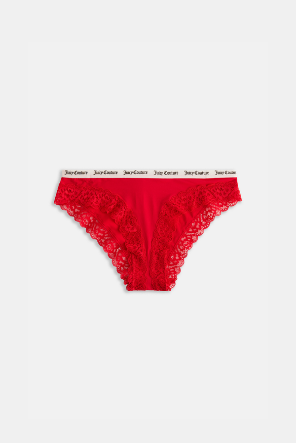 MICROFIBER LACE TRIM BRIEF MULTI X3