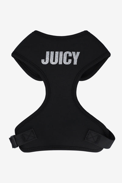 BLACK PET GLITTER HARNESS
