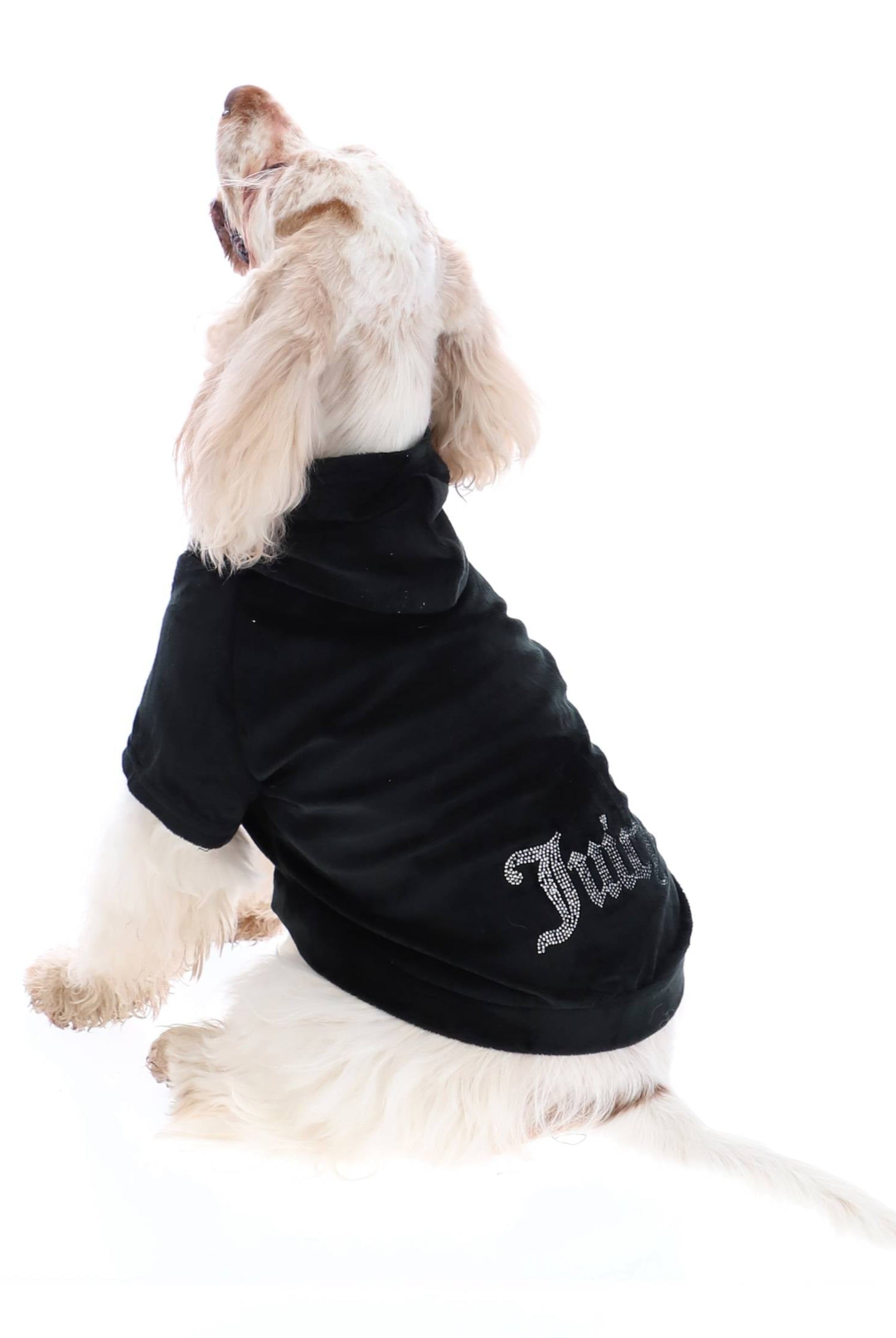 Black sales dog hoodie