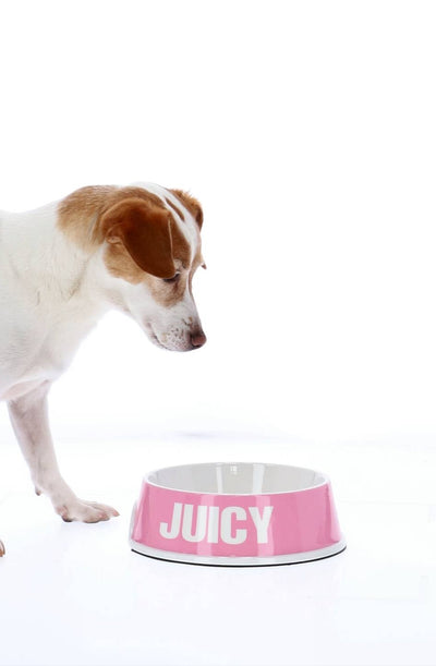 BEGONIA PINK JUICY PET BOWL