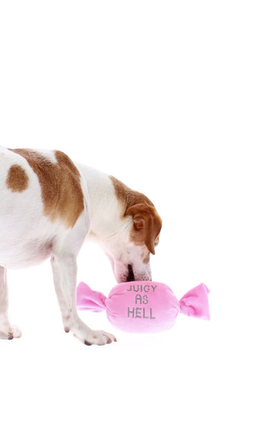 JUICY AS HELL SQUEAKY CANDY PET TOY