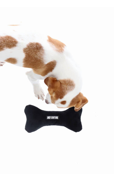 BLACK SQUEAKY BONE PET TOY