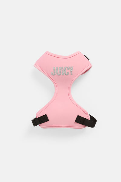BEGONIA PINK PET GLITTER HARNESS