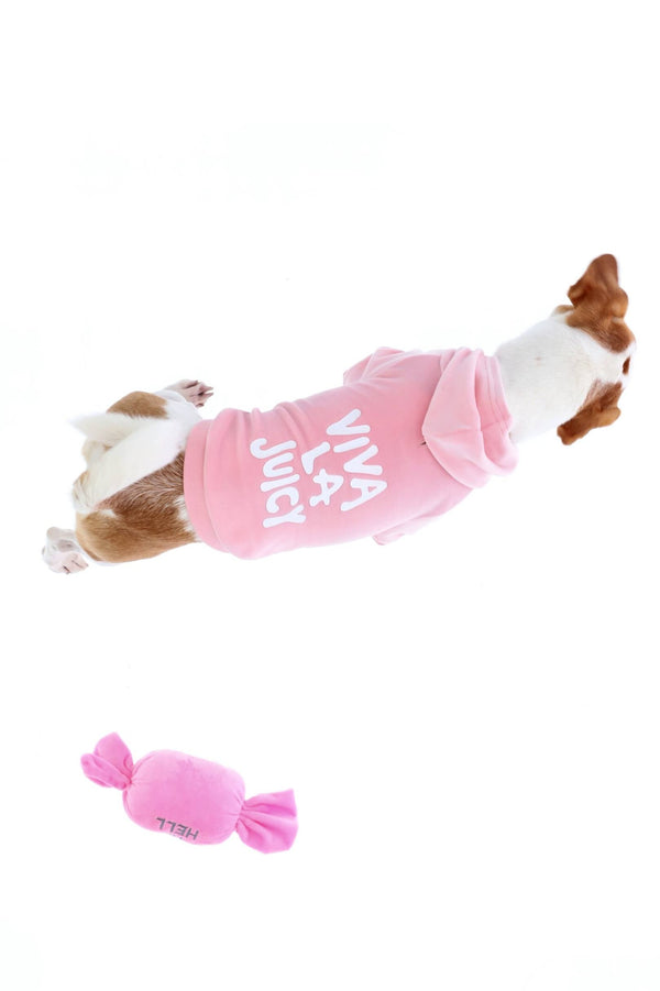 JUICY PINK SLOGAN PRINTED PET HOODIE