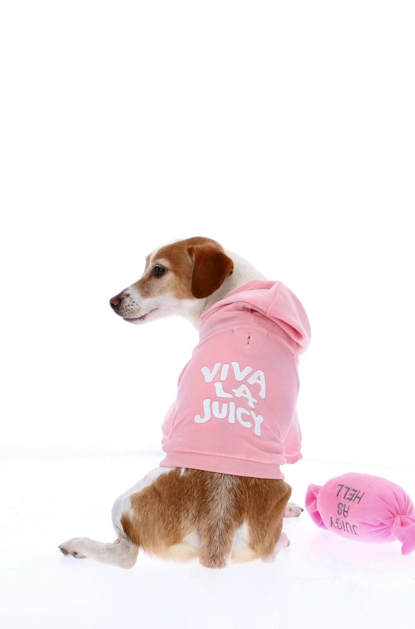 JUICY PINK SLOGAN PRINTED PET HOODIE