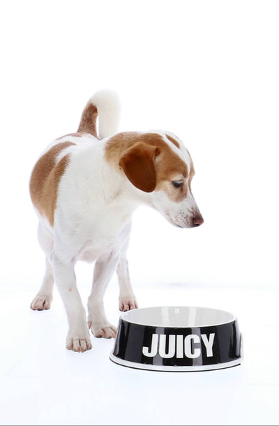 BLACK & WHITE JUICY PET BOWL