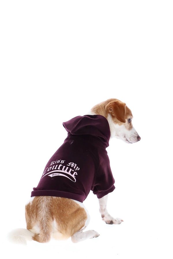 WINETASTING KISS MY COUTURE HOODIE PET