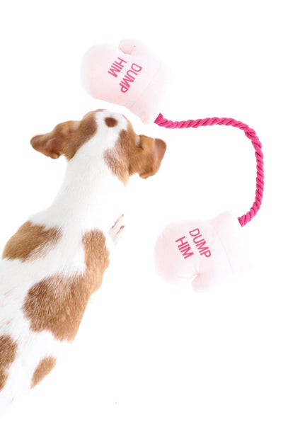 BOXING GLOVE SQUEAKY PET TOY
