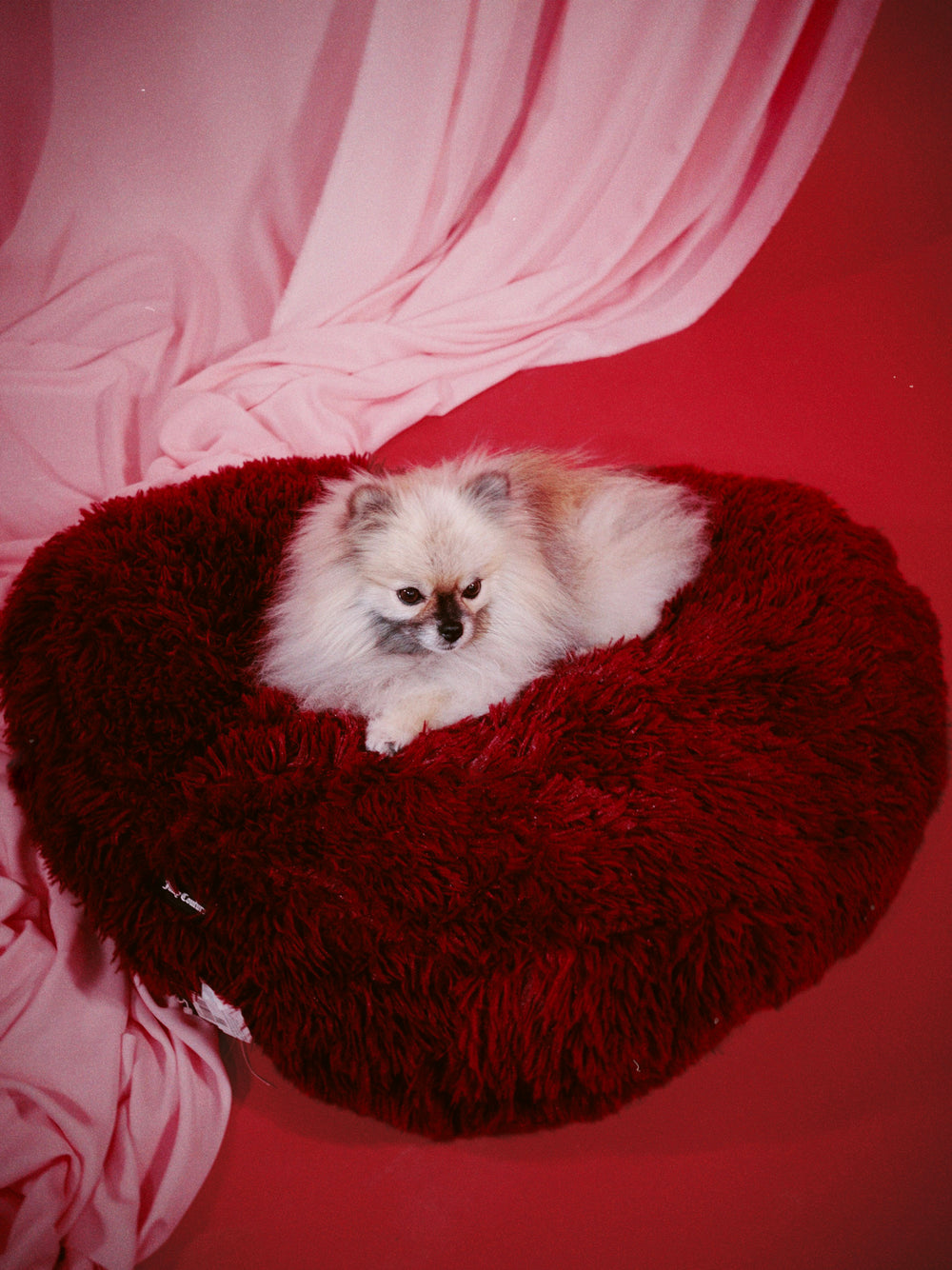 Winetasting Fluffy Heart Pet Bed