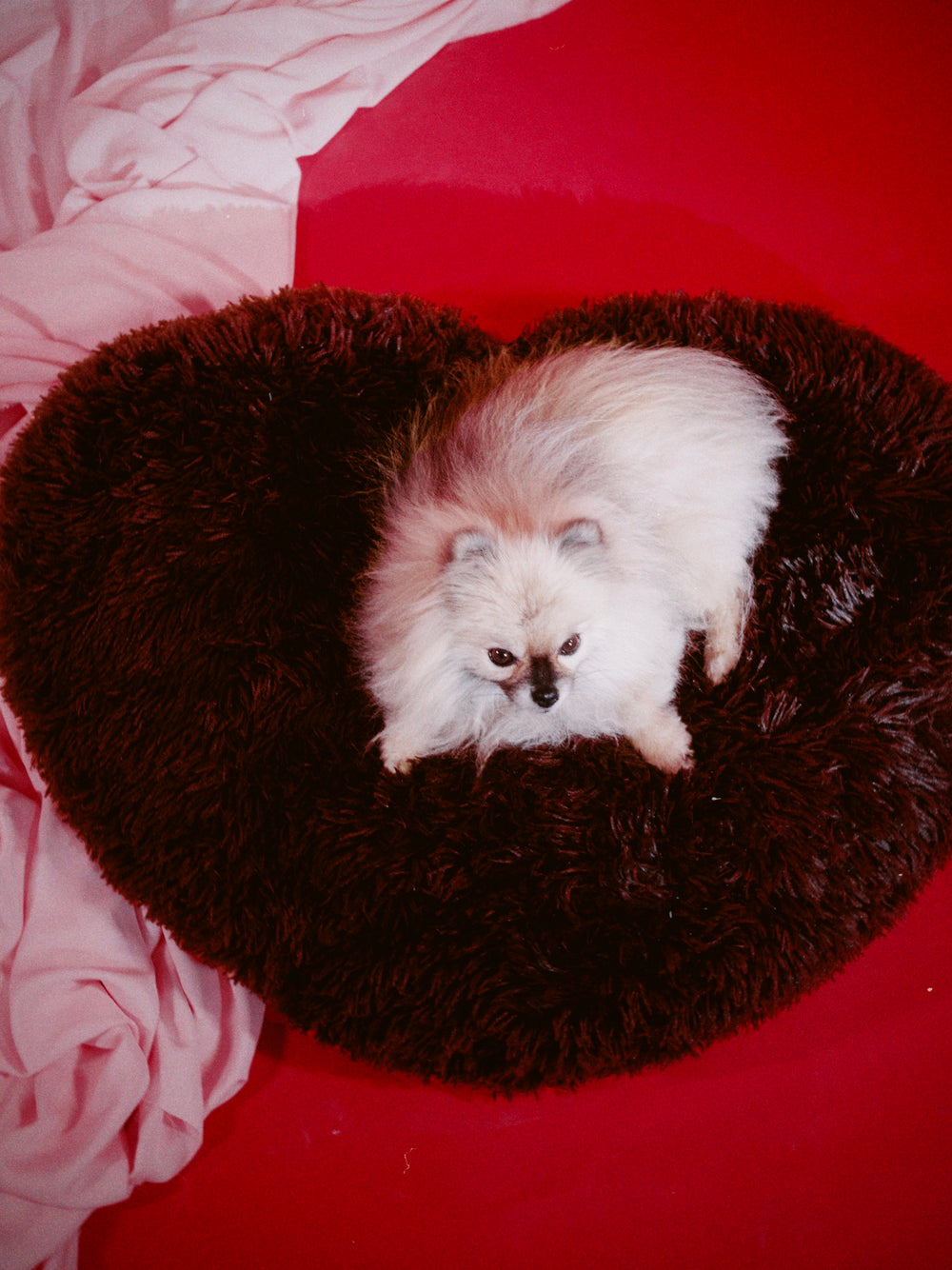 Java Fluffy Heart Pet Bed
