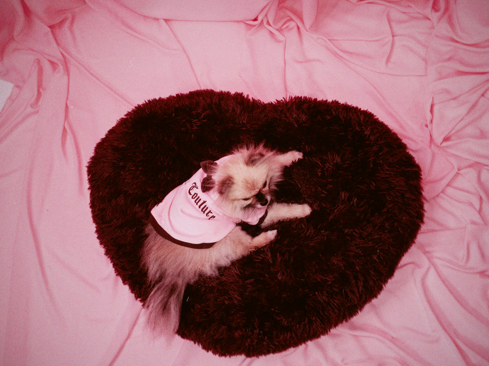 Winetasting Fluffy Heart Pet Bed